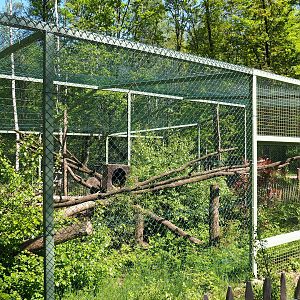 Fossa exhibit, 2023-05-19