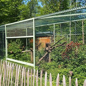 Fossa exhibit, 2023-05-19