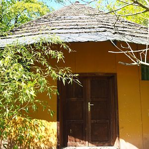 Lemur house, 2023-05-19