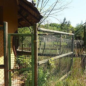 Lar gibbon house and chute to island, 2023-05-19