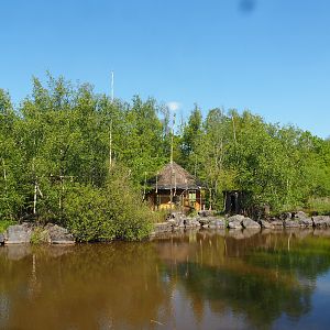 Lar gibbon island, 2023-05-19