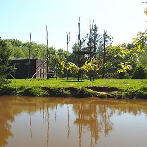 Chimpanzee island, 2023-05-19