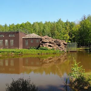 Chimpanzee building, 2023-05-19