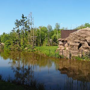 Chimpanzee island, 2023-05-19