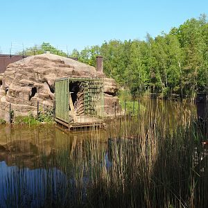 Keeper access to chimpanzee building, 2023-05-19