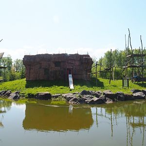 Sumatran orangutan and Lion-tailed macaque building and island, 2023-05-19