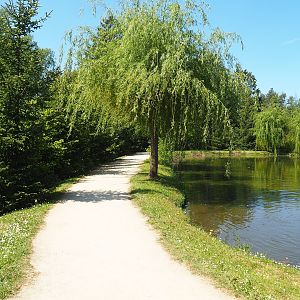 Walkway alongside Sumatran orangutan and Lion-tailed macaque island, 2023-05-19