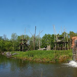 Sumatran orangutan and Lion-tailed macaque building island, 2023-05-19