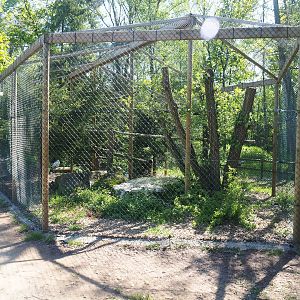 Snowy owl aviary, 2023-05-19