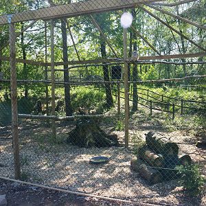 Ural owl aviary, 2023-05-19