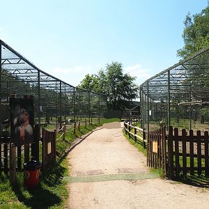 Raptor area, 2023-05-19