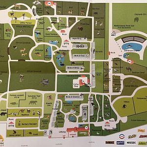 Zoo Map - 2016