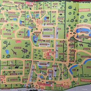 Zoo Map - undated