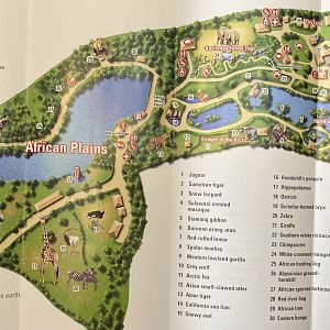 Zoo Map - undated