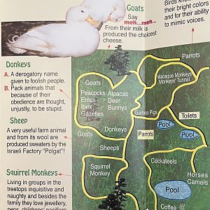 Monkey Forest & Wildlife Park Yodfat Map - undated