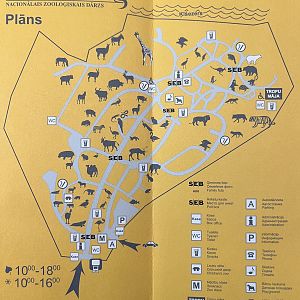 Zoo Map - undated