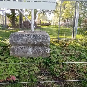 Persian fallow Deer Enclosure