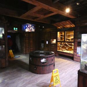"Long John Silver's Storeroom" - Skegness Aquarium