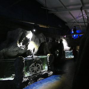 View of the 'Sunken Hold' area - Skegness Aquarium