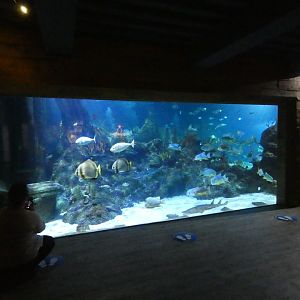 The Aqua Theatre - Skegness Aquarium