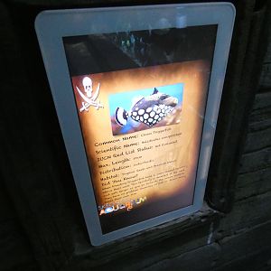 Signage style - Skegness Aquarium