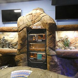 Wet lab - Skegness Aquarium