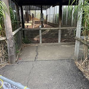 Current fence position for Brown Hyena