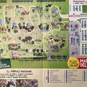 Zoo Map - 2013