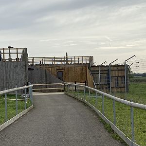 New bear / dingo viewing platform, Hamerton UK