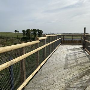 New bear / dingo viewing platform, Hamerton UK