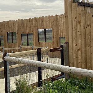 New viewing windows (dingoes) Hamerton UK