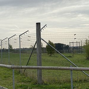 New dingo enclosure, Hamerton, UK