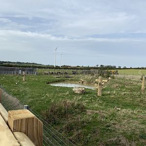 View of the bear enclosure (mid and left) from the new viewing platform, Hamerton, UK
