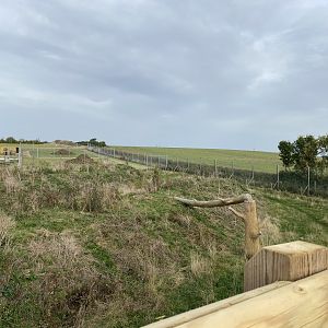 View of the bear enclosure (right) from the new viewing platform, Hamerton, UK