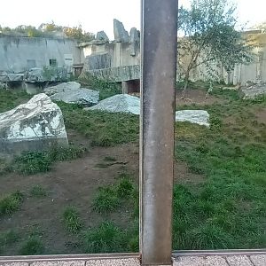 Example of Cheetah Enclosure