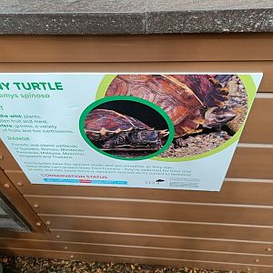 Spiny Turtle Signage