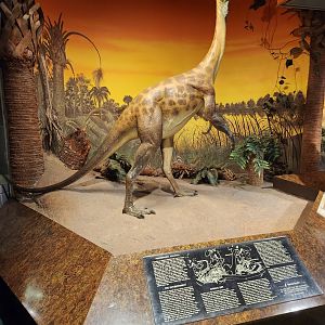 Fernbank Science Center - Dinosaurs of Atlanta