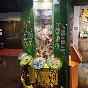 Fernbank Science Center - Fernbank Forest info