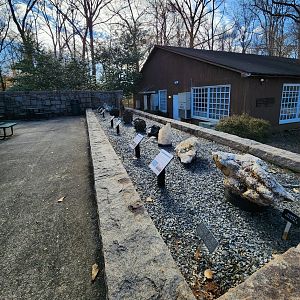 Fernbank Science Center - Geologic exhibits in outdoor yard