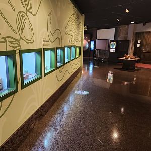 Fernbank Science Center - Live animals display area