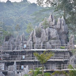 Rainforest Wild Asia - Limestone Formation (under construction)
