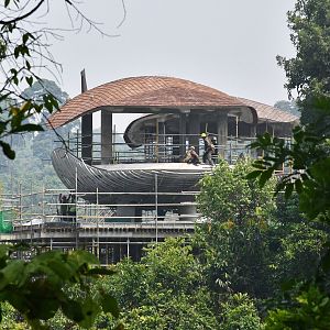 Hotel Treehouse (Under construction)