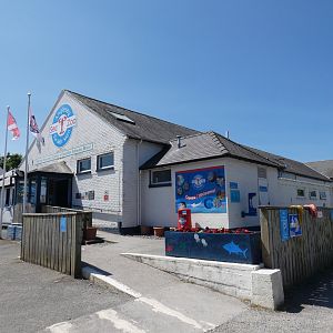 Entrance - Anglesey Sea Zoo