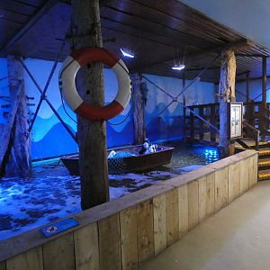 The Pier tank - Anglesey Sea Zoo