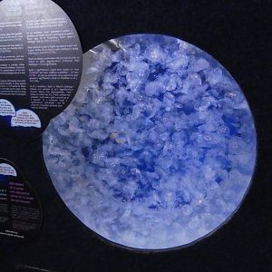 Jellyfish display - Anglesey Sea Zoo