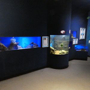 The 'No Bone Zone' - Anglesey Sea Zoo