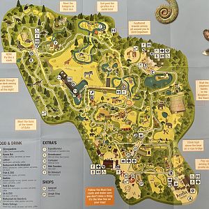 Zoo Map - 2019