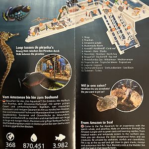 Aquarium Map - 2019