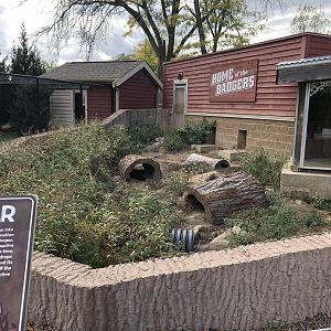 Badger Exhibit