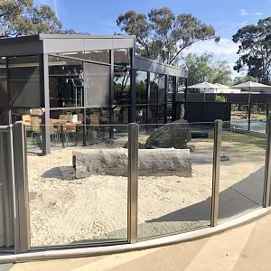 Meerkat Exhibit and Cafe